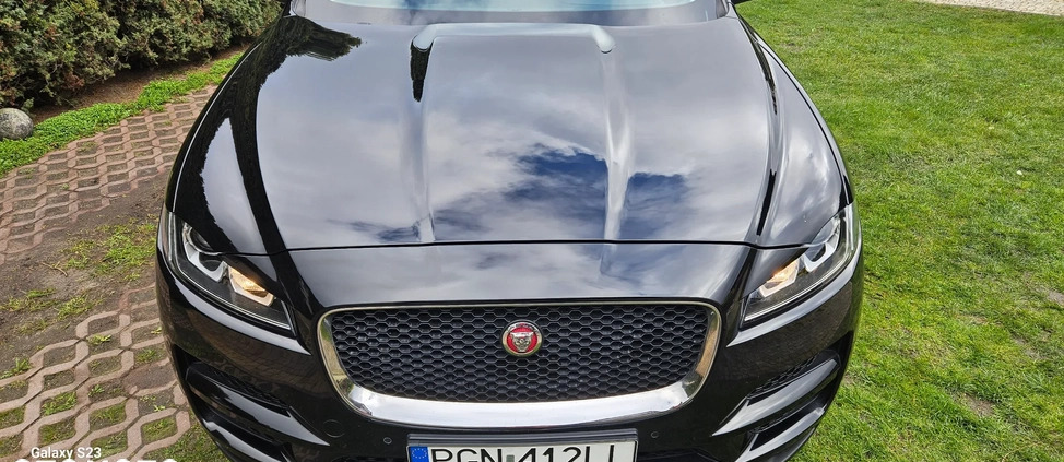 Jaguar F-Pace cena 102900 przebieg: 125150, rok produkcji 2018 z Trzemeszno małe 704